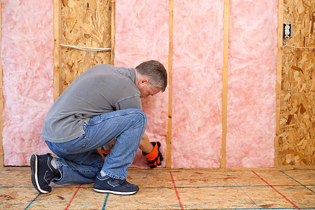 Best Types of Insulation in Roberts, WI